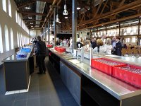 Voice Male 18.6.2016 001